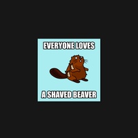 Beaver 57