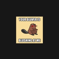 Beaver 58