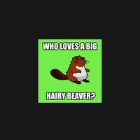 Beaver 60