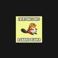 Beaver 69